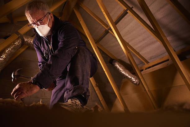 Best Commercial Insulation in Woodstock, AL